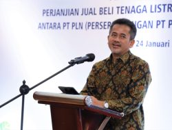 PLN Pasok Listrik 24,5 MVA untuk PT Pelsart Tambang Kencana di Kalsel