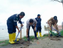 Grup MIND ID PT Timah Galakkan Penanaman Mangrove Dukung Net Zero Emissions