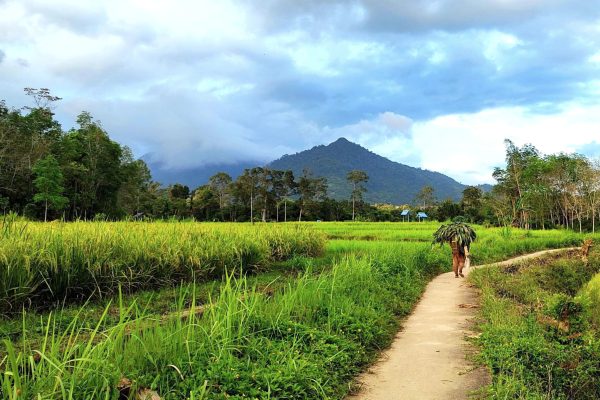 Desa Wisata (sumber: jadesta.kemenparekraf.go.id)
