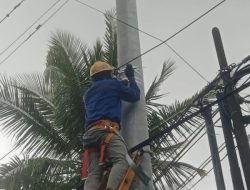PLN Icon Plus Sigap Tindaklanjuti Laporan Fiber Optik Yang Terlalu Rendah