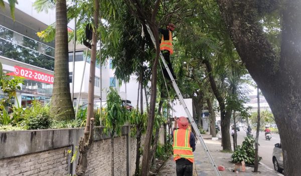 PLN Icon Plus dan Diskominfo Kota Berkolaborasi untuk Keindahan Kota