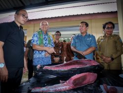 MenKopUKM Ingin Pasar Rakyat Biak Numfor Tak Kalah dengan Pasar Modern