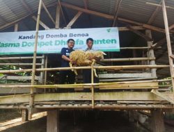 Dompet Dhuafa Kembangkan Peternakan Neo Plasma Dorong Ekonomi Masyarakat Pra Sejahtera