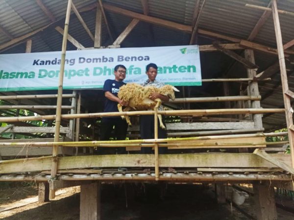 Dompet Dhuafa Pelopori Peteernakan Neo Plasma