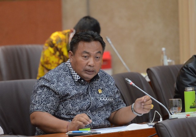 Anggota Komisi VI DPR, I Nyoman Parta