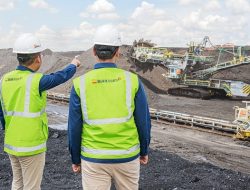 Bukit Asam Perkuat Efisiensi untuk Peningkatan Profitabilitas Bisnis