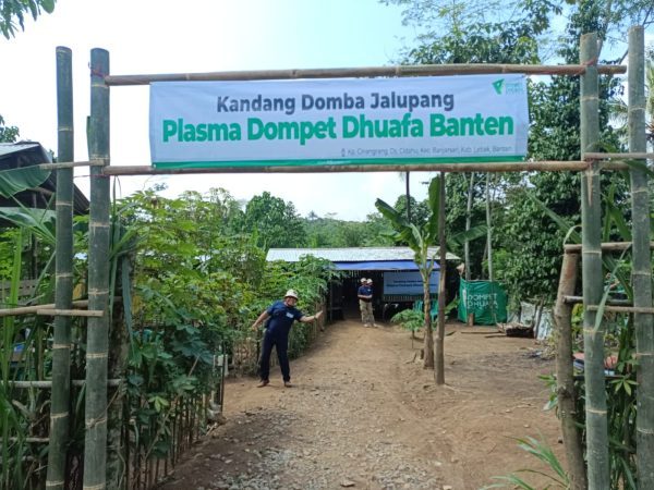 Dorong Ekonomi Warga, Pramukantor Beralih Menjadi Peternak Plasma Jalupang Bersama Dompet Dhuafa Banten