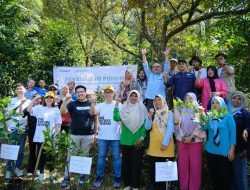 Treasury Tanam 266 Pohon Nangka dalam Program Green Gold 