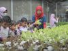 Edufarm Malakasari: Transformasi Lahan Kota Menjadi Oase Pendidikan