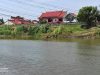 Petani Brebes Hadapi Ancaman Kekeringan