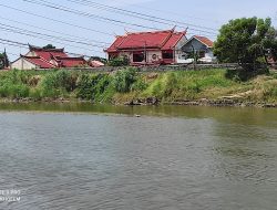 Petani Brebes Hadapi Ancaman Kekeringan