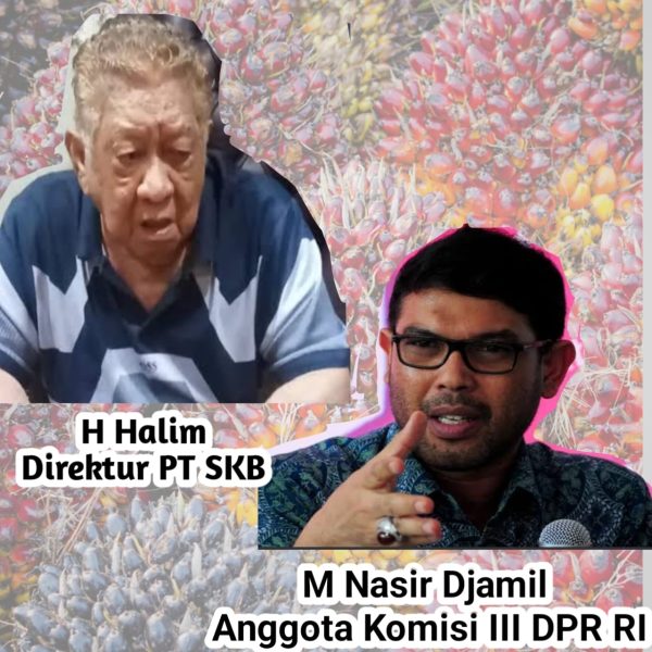 Ada M. Nasir Djamil di Belakang Pengusaha Perkebunan Sawit? (istimewa )