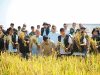 Panen Raya, Kepala Bapanas Ajak Para Pihak Bangun Ekosistem Pangan Yang Progresif dan Inklusif