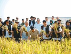 Panen Raya, Kepala Bapanas Ajak Para Pihak Bangun Ekosistem Pangan Yang Progresif dan Inklusif