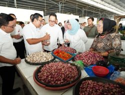 Badan Pangan Nasional Beraksi Atasi Depresiasi Harga Cabai