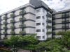 Urban Jungle Experience, Malam Tahun Baru Di Park 5 Simatupang