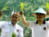 Budiman Sudjatmiko Bagi-bagi Benih Padi Di Pacitan