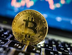 Pasar Kripto Catat Rekor: Bitcoin, Altcoin, dan Memecoin Tunjukkan Tren Positif