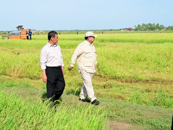 Menteri Pertanian Amran Sulaiman bersama Presiden Prabowo Subianto kunjungi lahan pertanian di Merauke