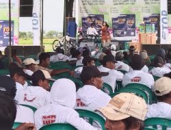Satya Agro Indonesia Luncurkan Sagri Top, Anti Ulat Bawang