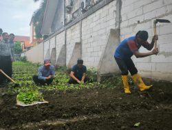 Warga Binaan Lapas Brebes Tanam Sawi, Dukung Ketahanan Pangan Nasional