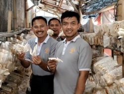 Kalapas Brebes Panen Jamur, Wujud Pembinaan Kemandirian Warga Binaan
