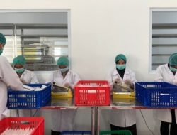 BNI Xpora Dukung Produsen Tempe Asal Bogor Tembus Ekspor ke 10 Negara