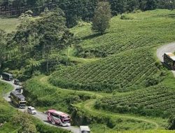 Team Setiabudhi Area dan “Gadis Keraton” Seru-seruan Di Pangalengan