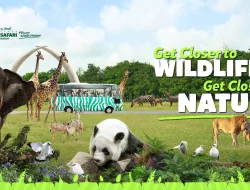 Kasus Eksploitasi di Taman Safari, DPR: Pelaku Kejahatan Harus Ditindak Secara Hukum 