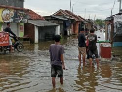 Banjir Rob Terjang Losari Brebes, Ribuan Rumah dan Ratusan Hektar Tambak Terendam