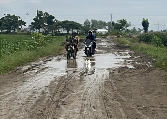 Kondisi jalan alternatif penghubung Jalan Raya Songgom-Purwokerto menuju kawasan permukiman warga dan PT. Shyang Tah Jyun (STJ) di Desa Kubangsari, Kecamatan Ketanggungan, Kabupaten Brebes, kini dalam keadaan yang memprihatinkan. Karyawan PT. STJ mendesak Pemda dan pihak terkait segera melakukan perbaikan jalan hibah.