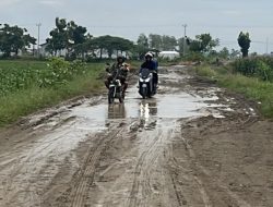 Jalan Berlumpur di Kubangsari Brebes Tak Kunjung Diperbaiki, Bupati Paramitha Jelaskan Alasannya