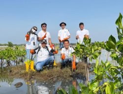 200 Ribu Manggrove Di Tanam Untuk Mageri Segoro Jawa Tengah