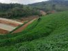 Maccaferri Indonesia; Solusi Rekayasa Sipil dan Geoteknik