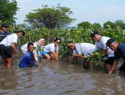 Lestarikan Lingkungan, Sharp Tanam 5.500 Bibit Mangrove di Pulau Tunda Serang-Banten