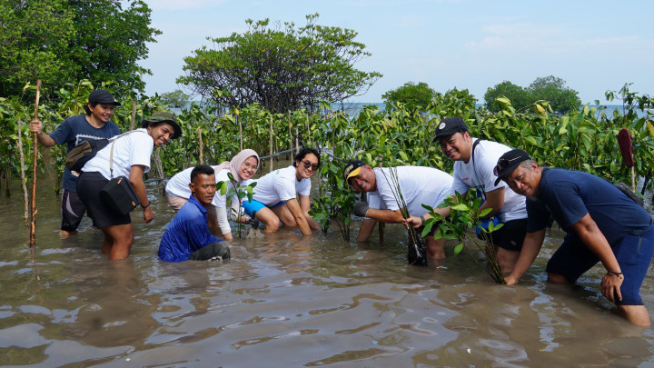 Perwakilan Sharp bersama masyarakat setempat melakukan penanaman bibit pohon mangrove di Pulau Tunda (Dok/Sharp)