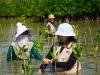 KAI Logistik Tanam 500 Mangrove di Kawasan Pesisir Muara Gembong