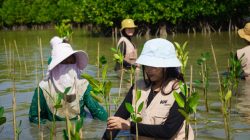 PT Kereta Api Logistik (KAI Logistik), anak perusahaan PT Kereta Api Indonesia (Persero) menginisiasi penanaman 500 pohon mangrove di kawasan pesisir Muara Gembong Bekasi (Dok/KAI Logistik)