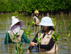 KAI Logistik Tanam 500 Mangrove di Kawasan Pesisir Muara Gembong