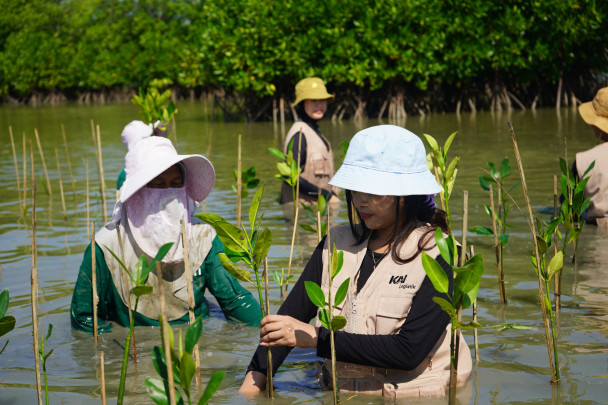 PT Kereta Api Logistik (KAI Logistik), anak perusahaan PT Kereta Api Indonesia (Persero) menginisiasi penanaman 500 pohon mangrove di kawasan pesisir Muara Gembong Bekasi (Dok/KAI Logistik)