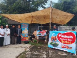 Kokola Group Salurkan Hewan Qurban Bersama Mamah Dedeh di Ciamis