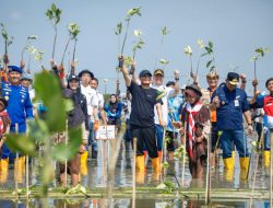 Gubernur Jateng Luncurkan Gerakan Mageri Segoro, Tanam 26.000 Mangrove di Brebes