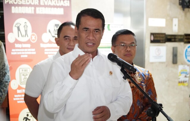 Amran Sulaiman, Kepala Bapanas
