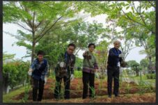 WHO mengapresiasi Bintang Toedjoe yang telah menunjukkan komitmennya dalam pengembangan obat herbal modern. Kunjungan WHO yang juga didampingi Badan Pengawas Obat dan Makanan Republik Indonesia (BPOM RI)