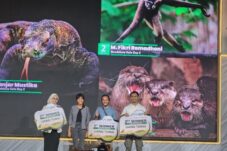 Taman Safari Indonesia Umumkan Pemenang IAPVC 2025, Wujudkan Kesadaran Publik terhadap Konservasi Satwa