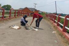Jembatan Penghubung Desa Kecipir Rusak Parah, Warga Keluhkan Tak Kunjung Diperbaiki