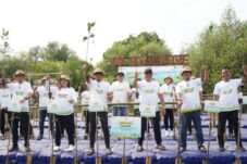 PLN Tanam 5.000 Mangrove dalam Memperingati Hari Menanam Pohon Indonesia 2025