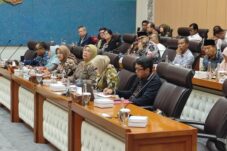 ASEPHI pada RDP Bersama DPR dan Kemenperin