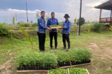 Dukung Ketahanan Pangan, Lapas Brebes Kirim Bibit Cabai dan Daun Kelor ke Lapas Terbuka Kendal