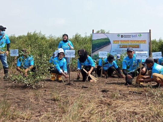 Abrasi Rusak 56 Persen Pantai Brebes, BTN–KEHATI Tanam Ribuan Mangrove